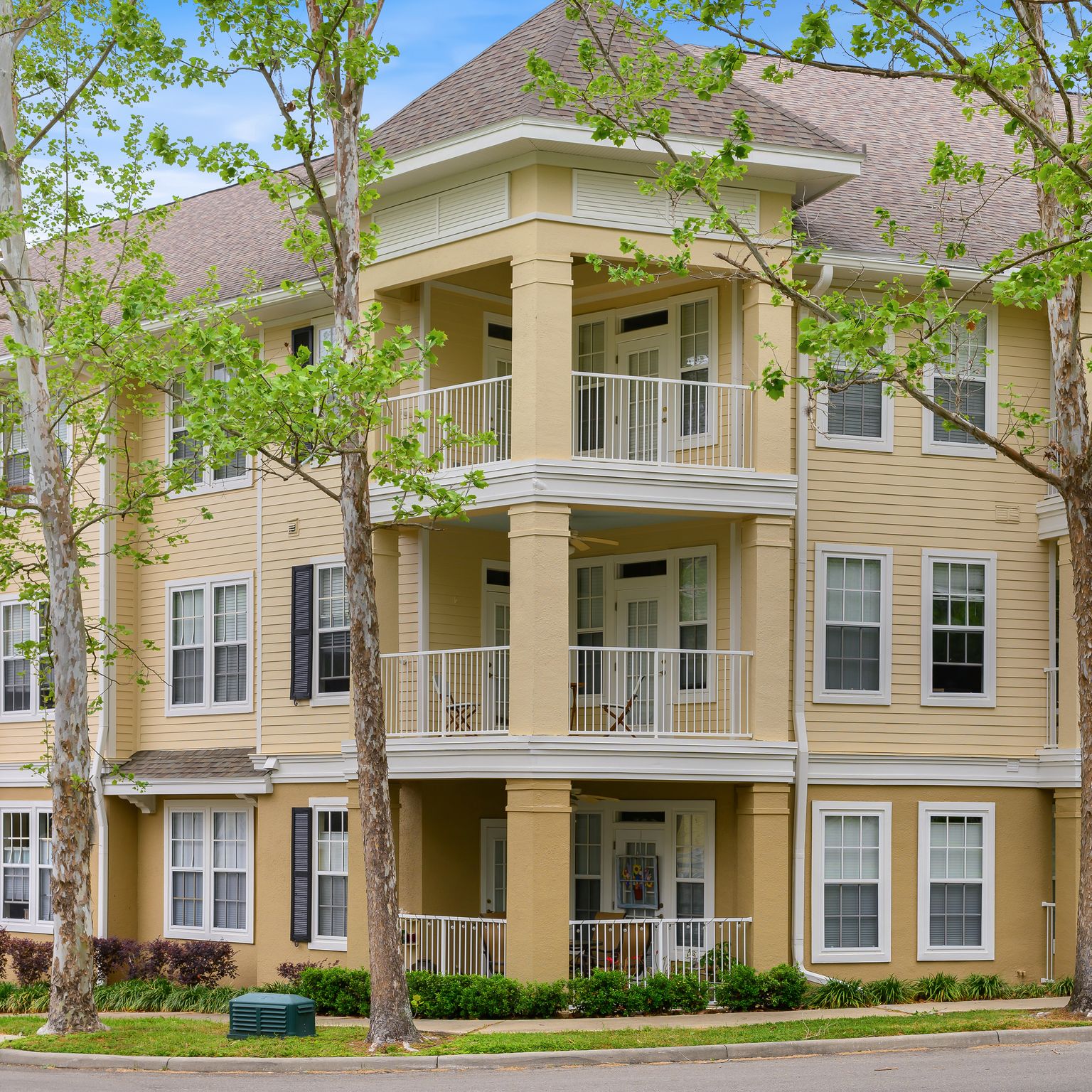 Natural Elements Painting & Repair, LLC